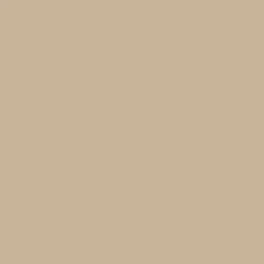 Mojave 8751-58